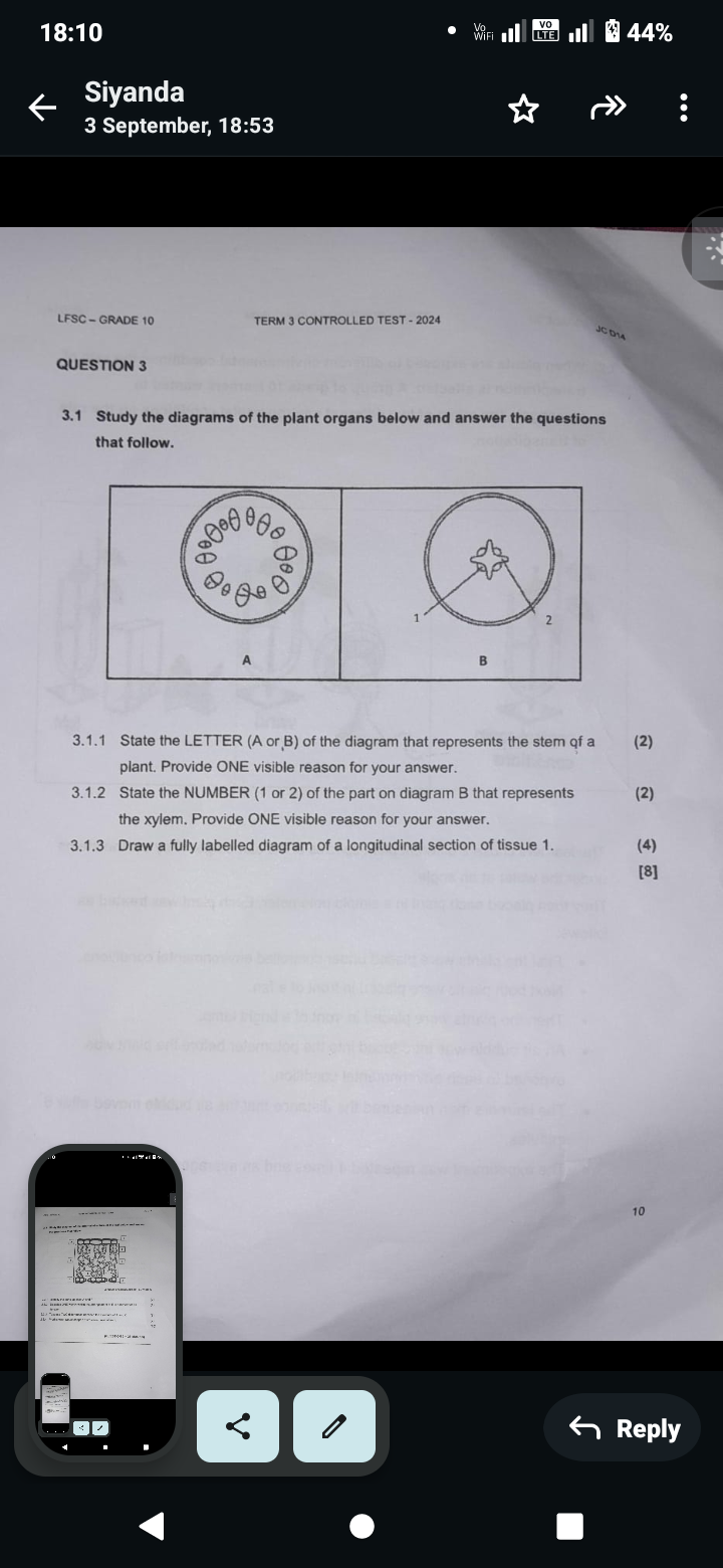 studyx-img