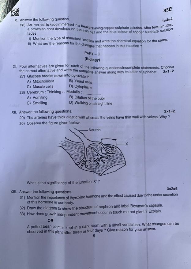 studyx-img