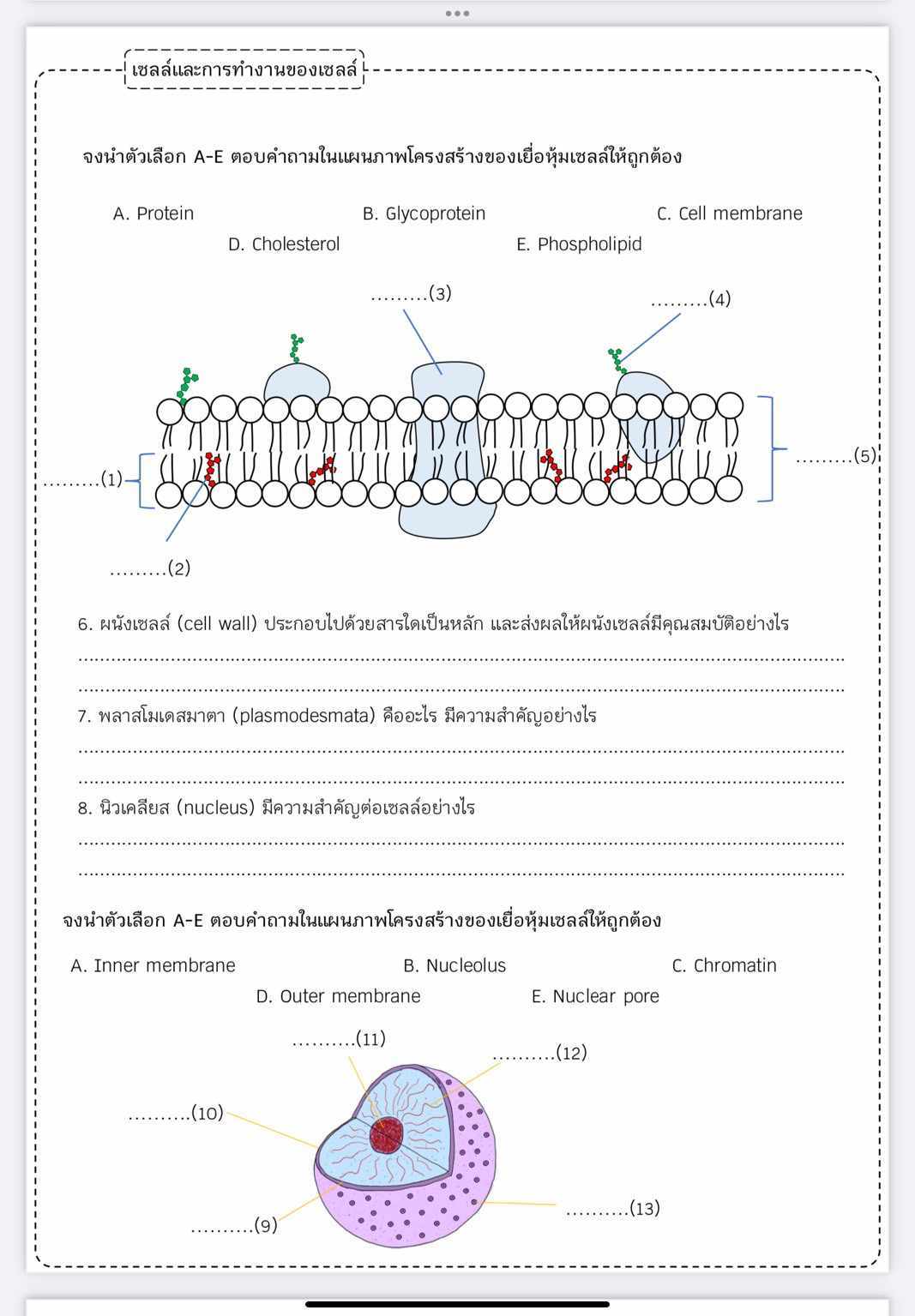 studyx-img