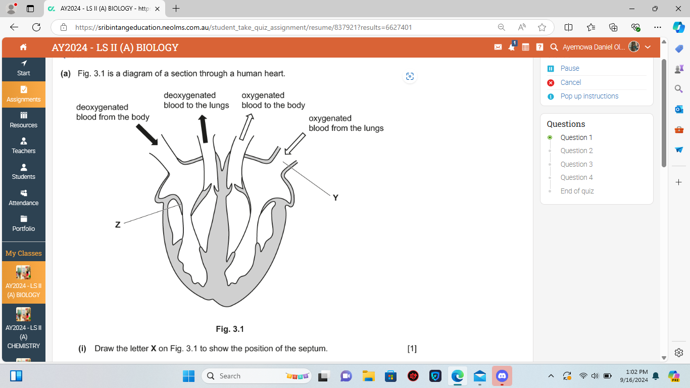 studyx-img