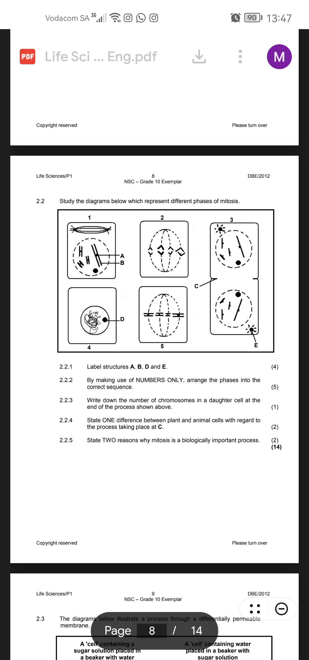 studyx-img