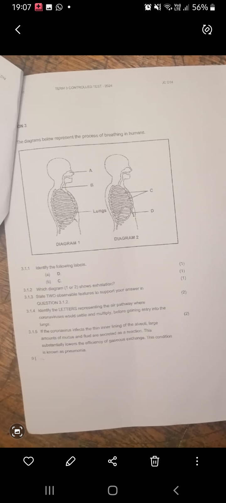 studyx-img