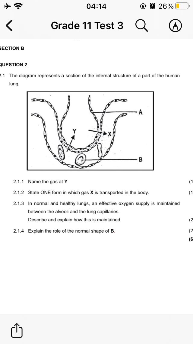 studyx-img