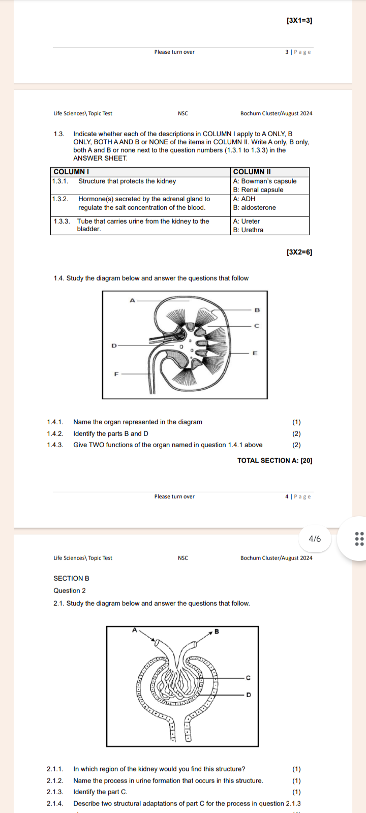 studyx-img