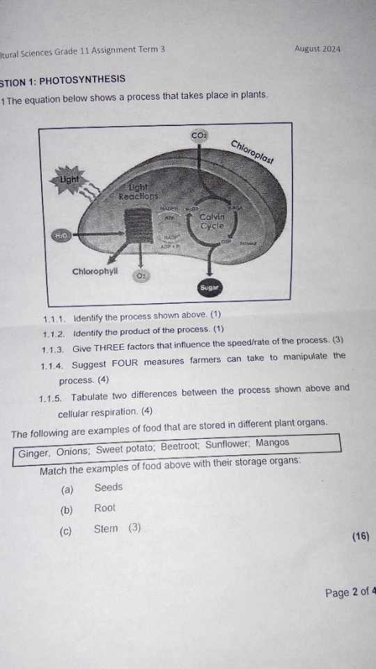 studyx-img