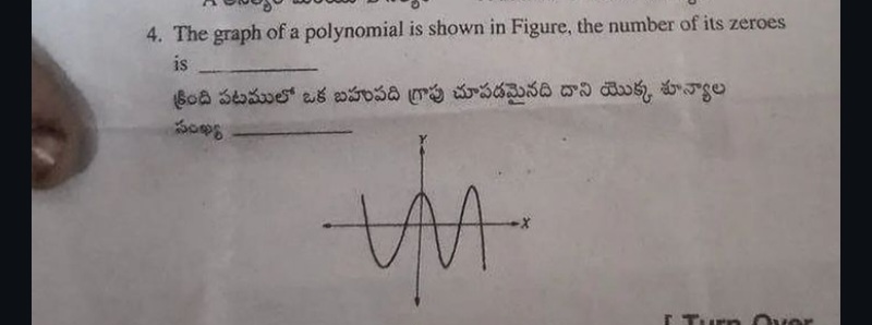 studyx-img