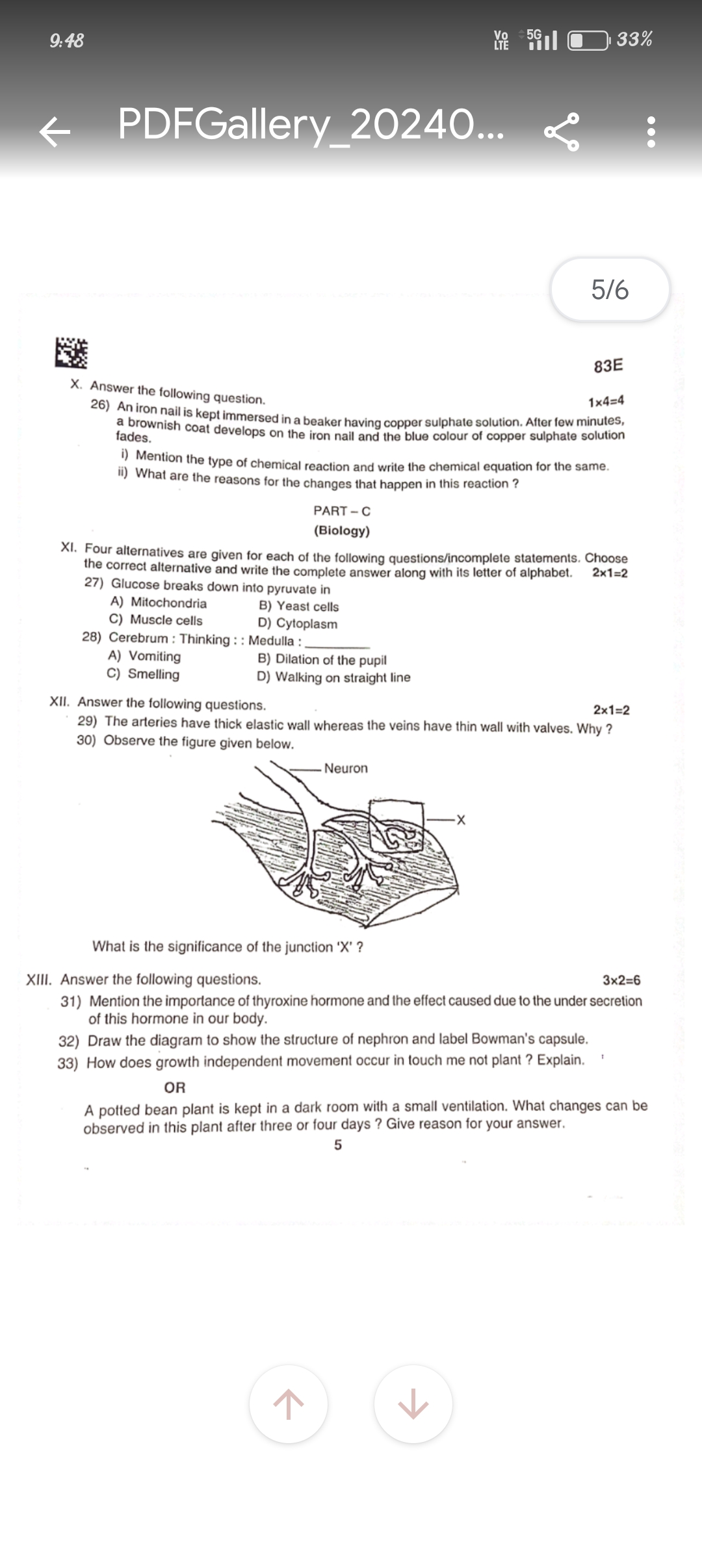 studyx-img