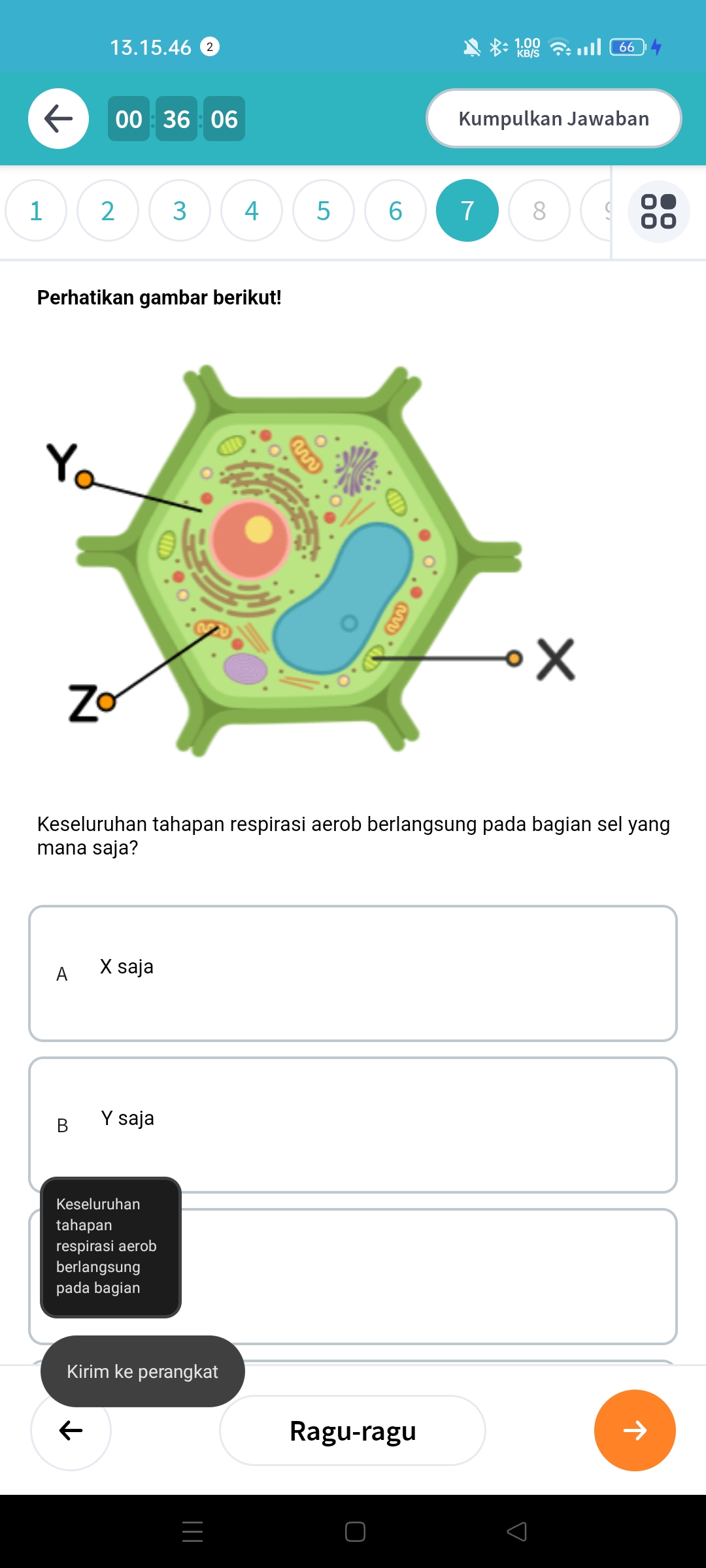 studyx-img