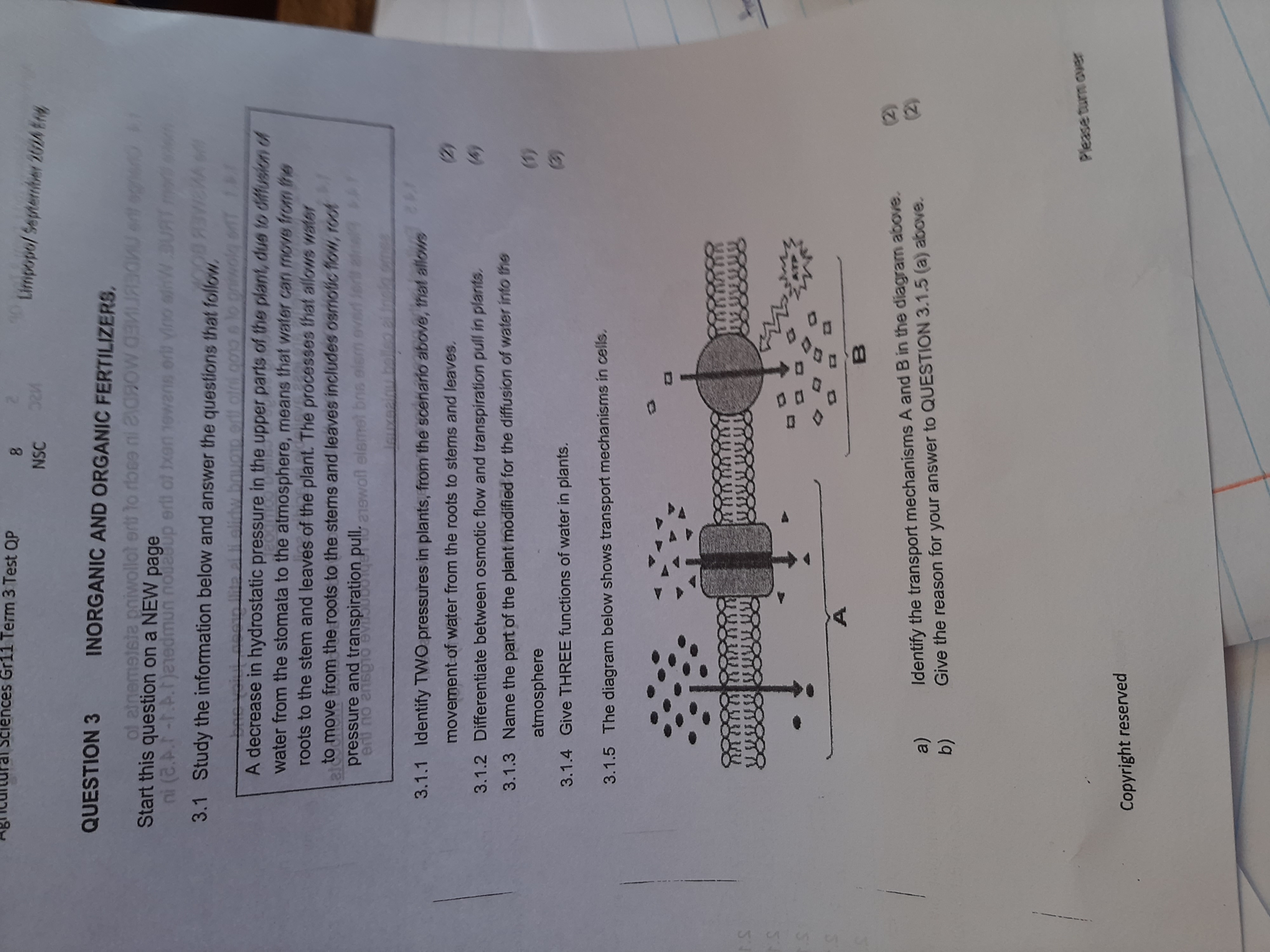 studyx-img