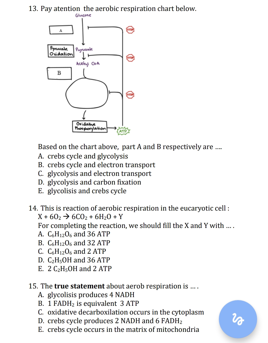 studyx-img