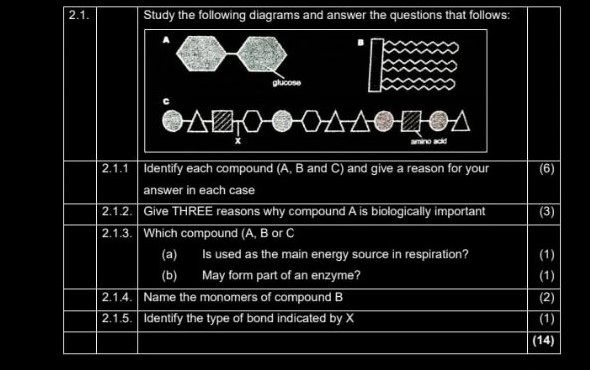 studyx-img