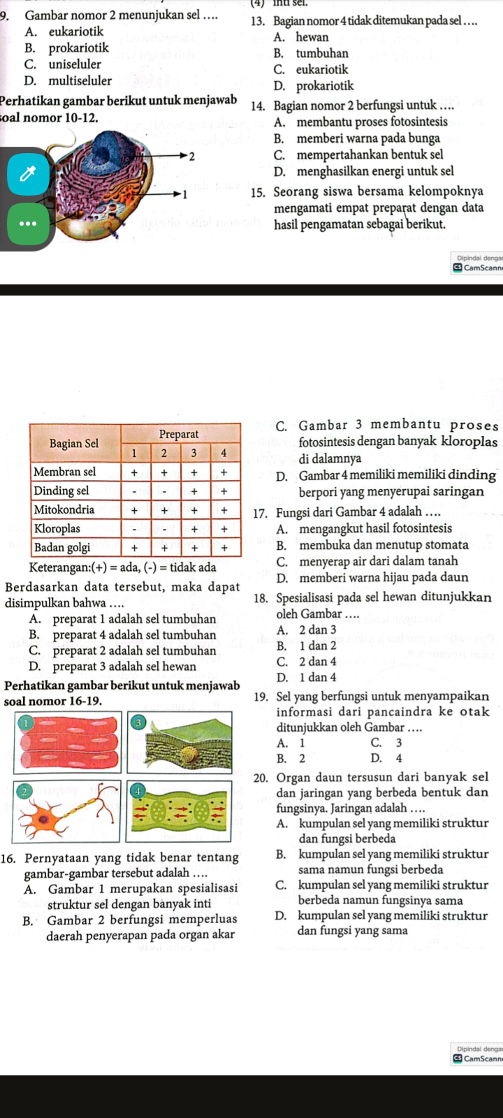 studyx-img