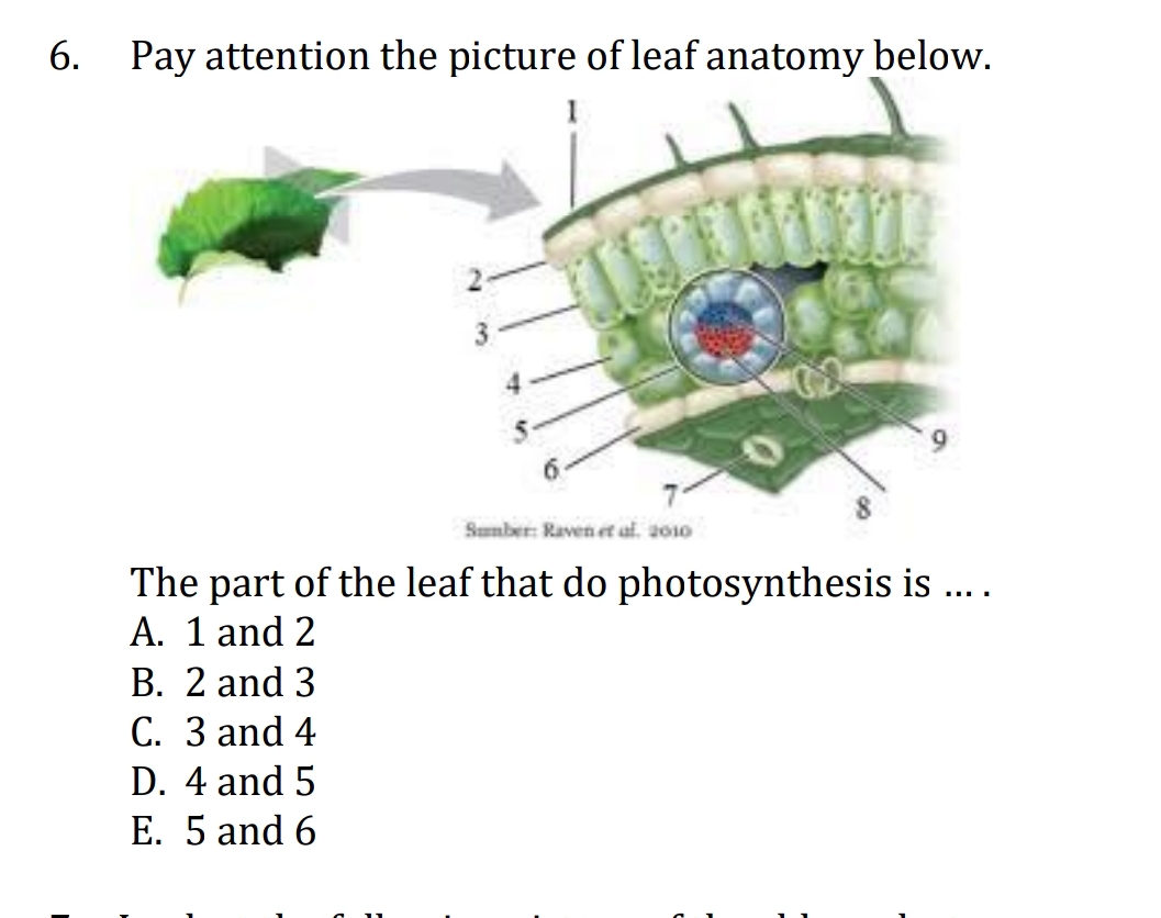 studyx-img