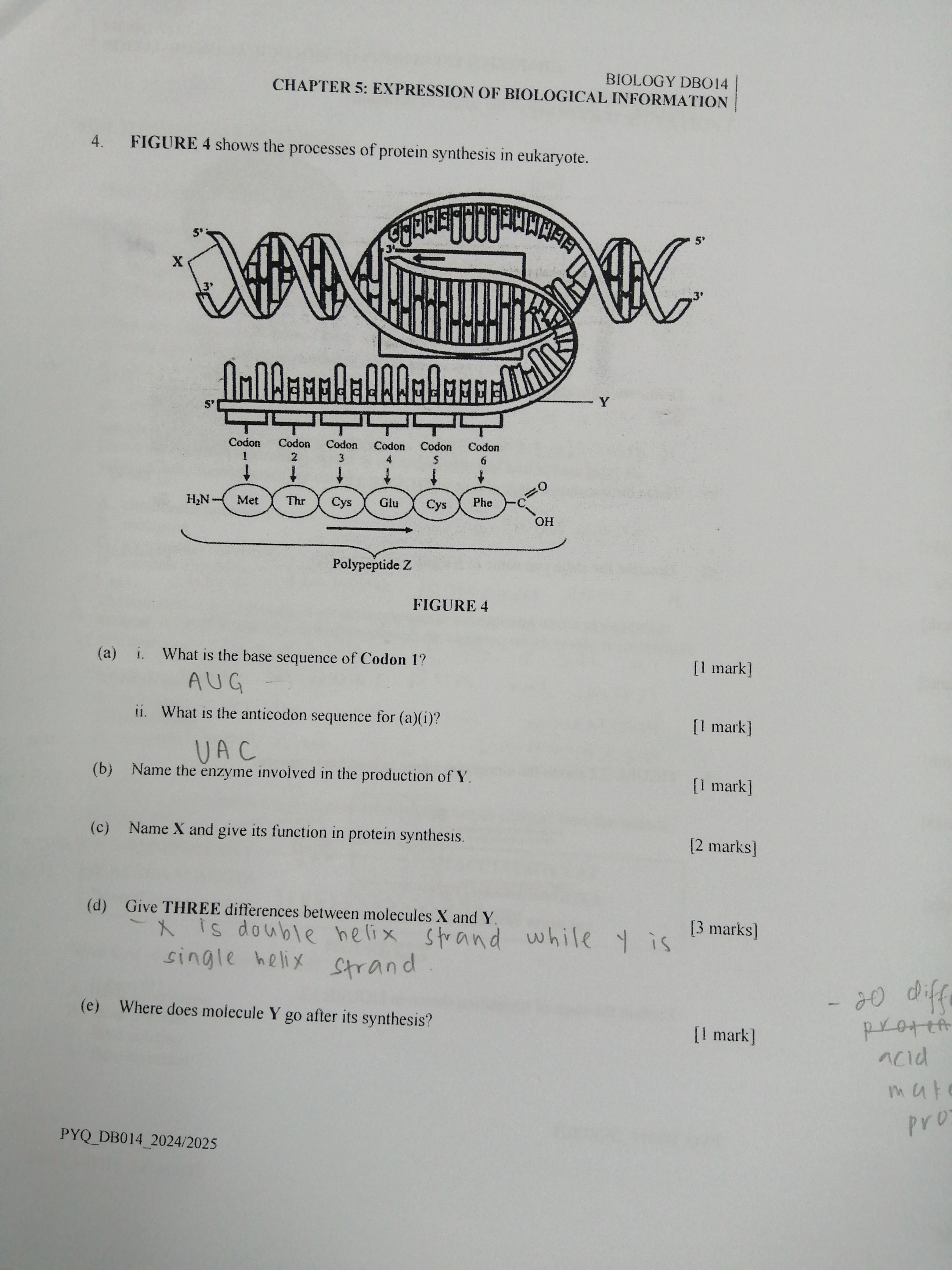 studyx-img