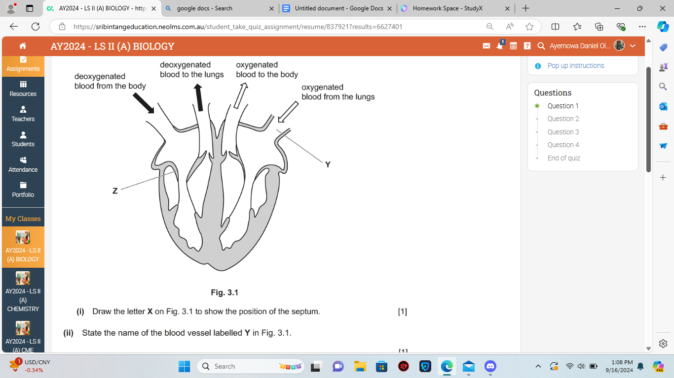 studyx-img