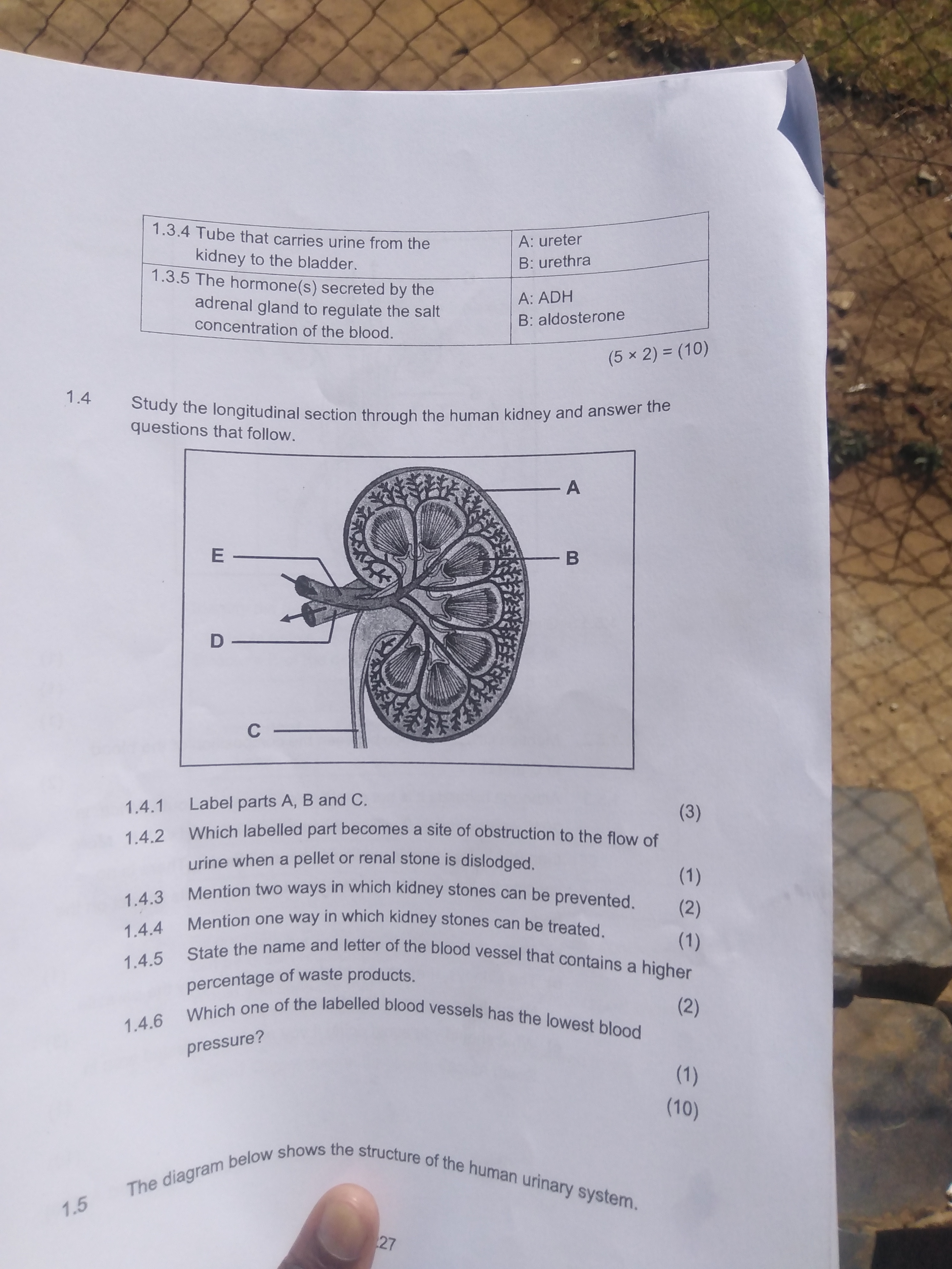 studyx-img