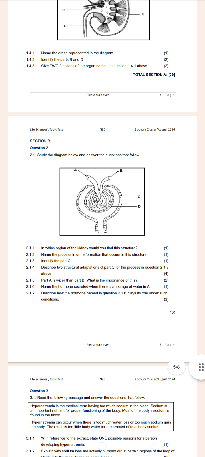 studyx-img