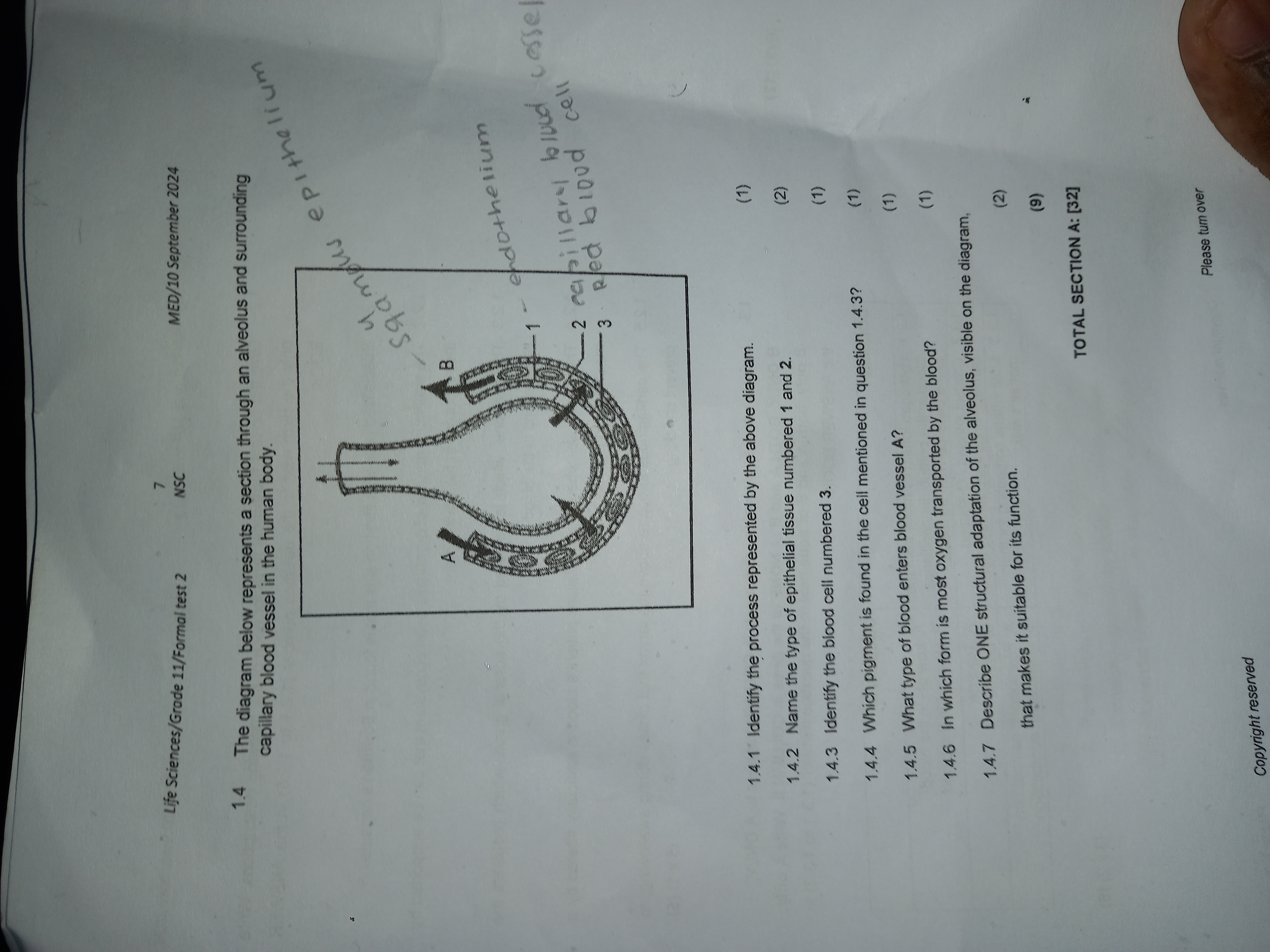 studyx-img