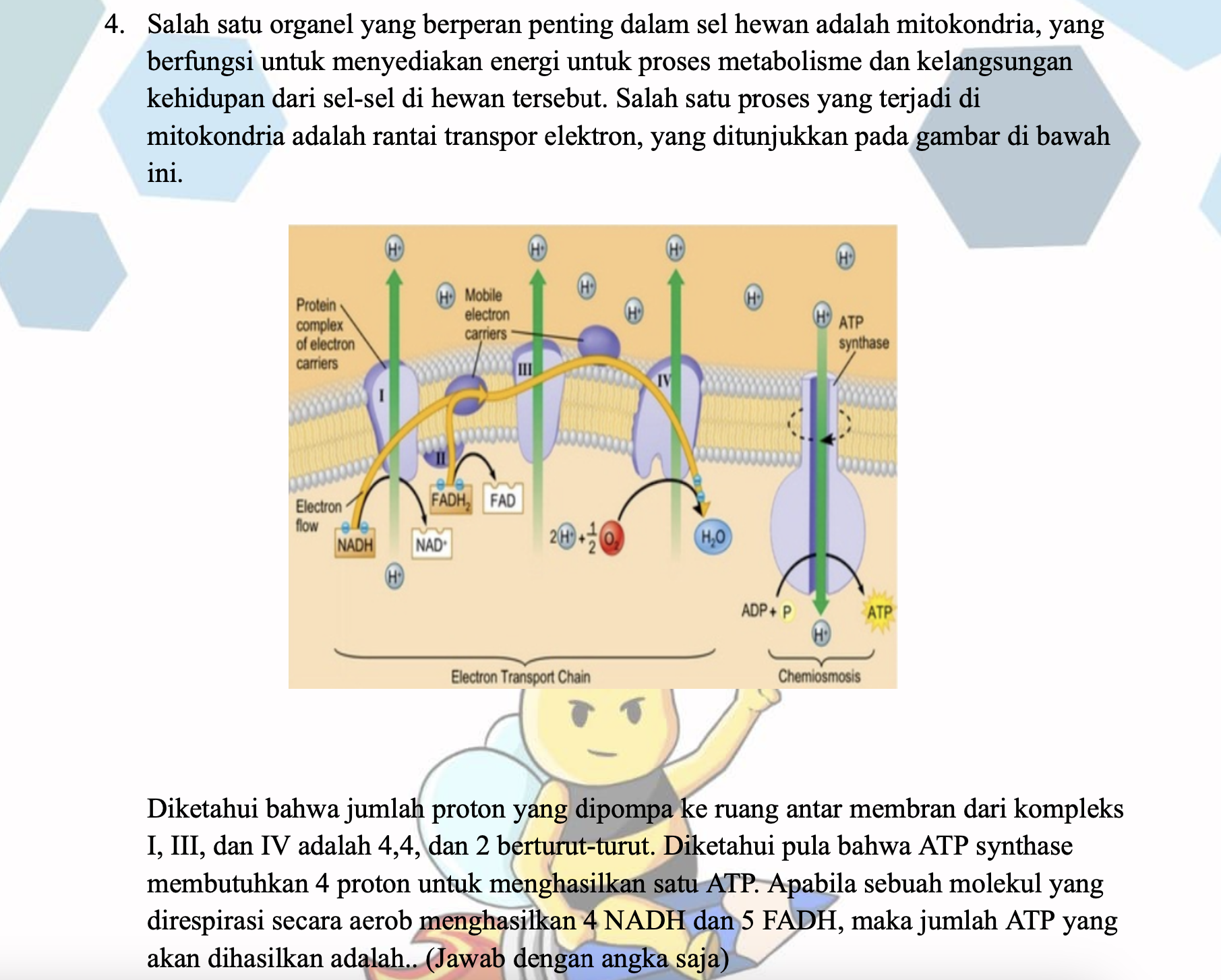 studyx-img