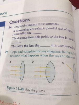 studyx-img