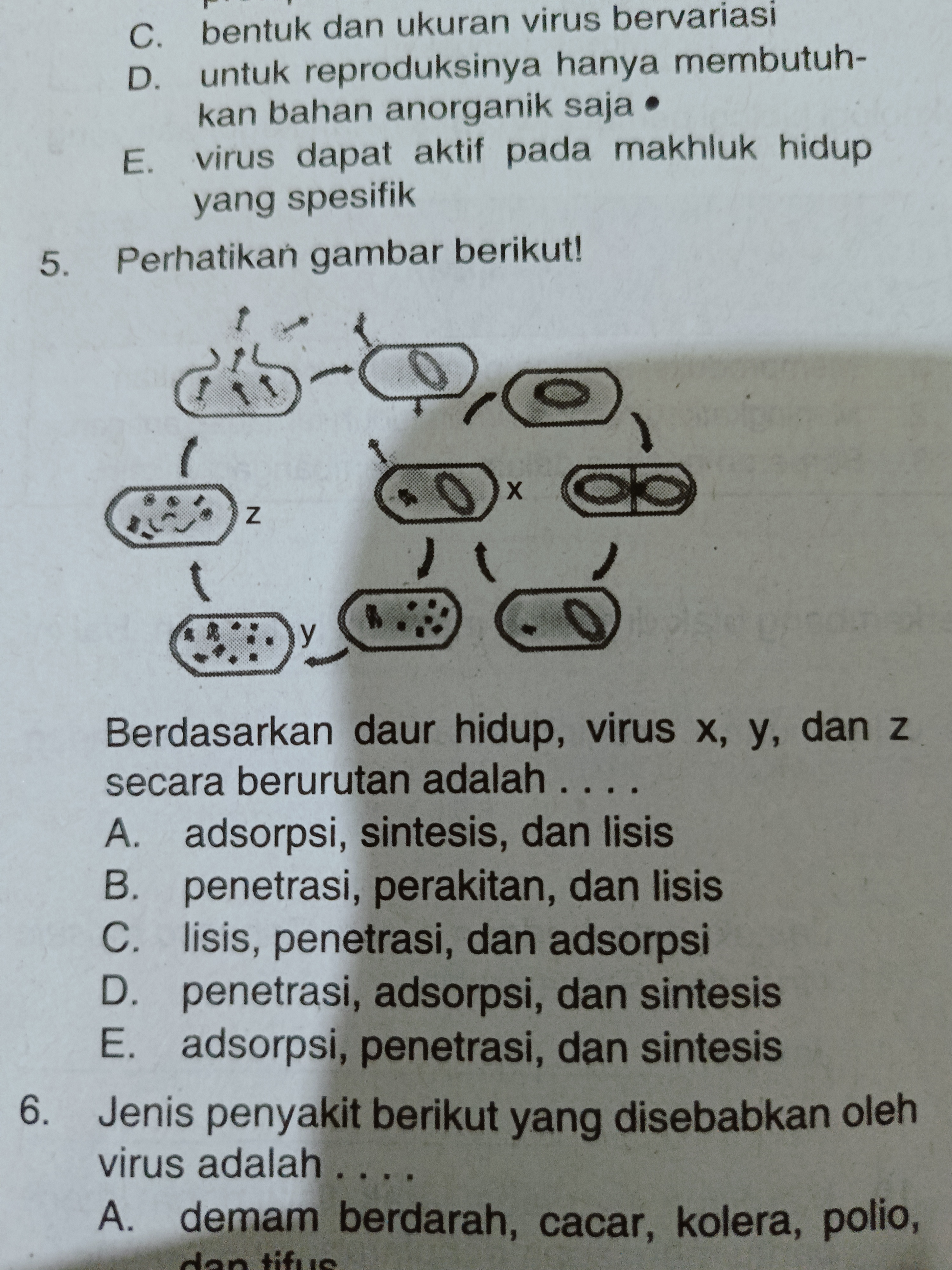 studyx-img