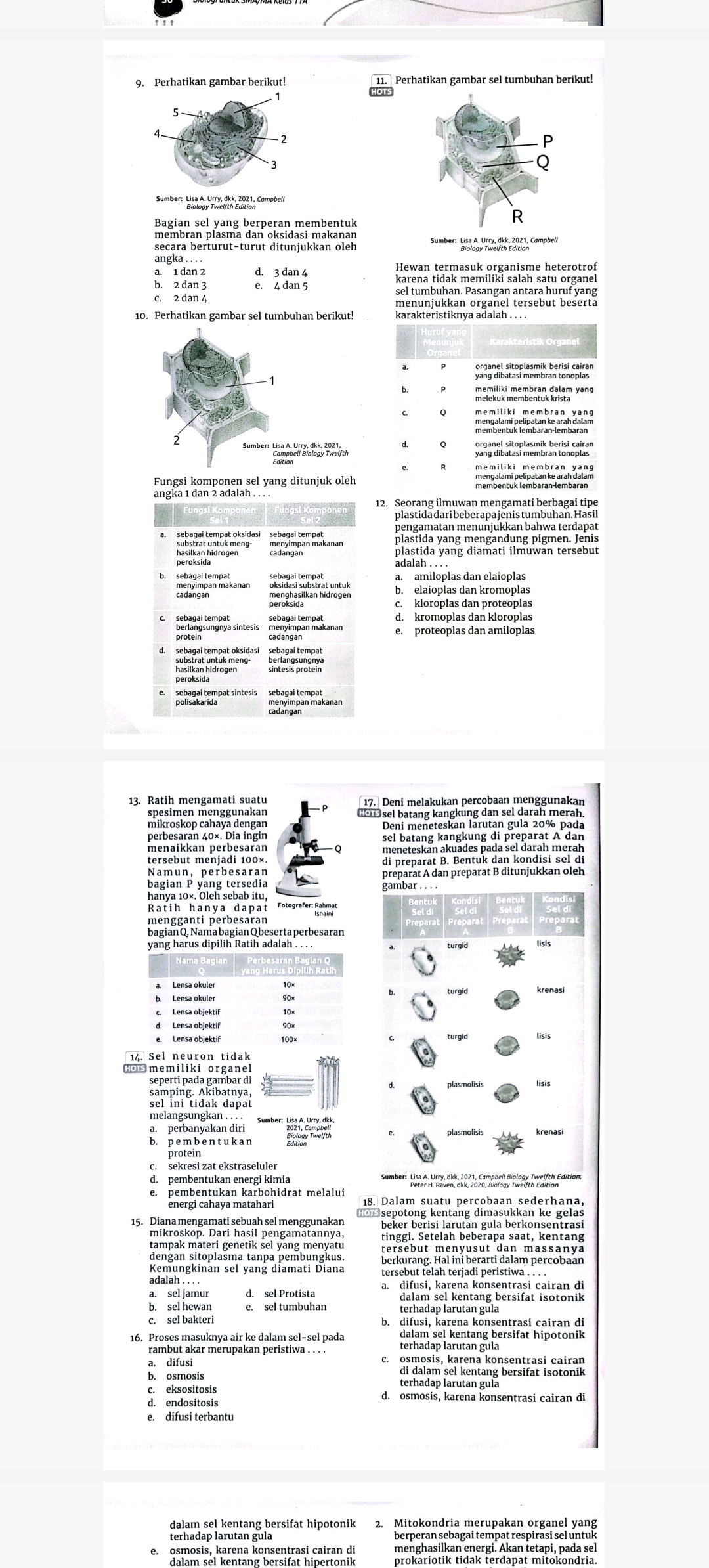 studyx-img