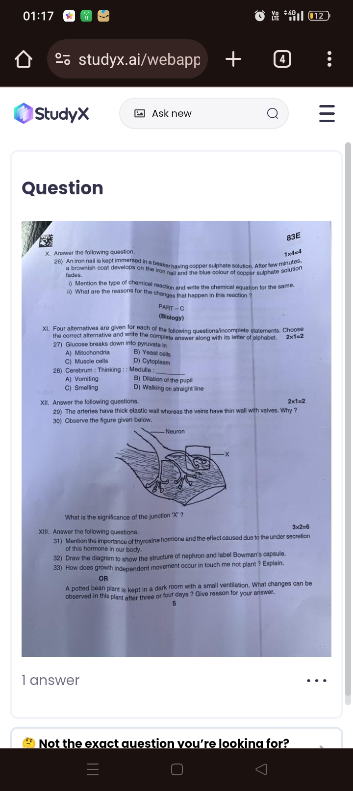 studyx-img