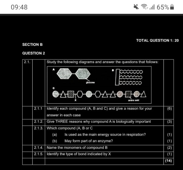 studyx-img