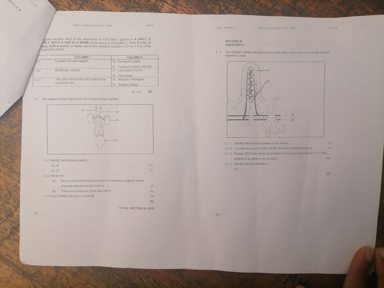 studyx-img