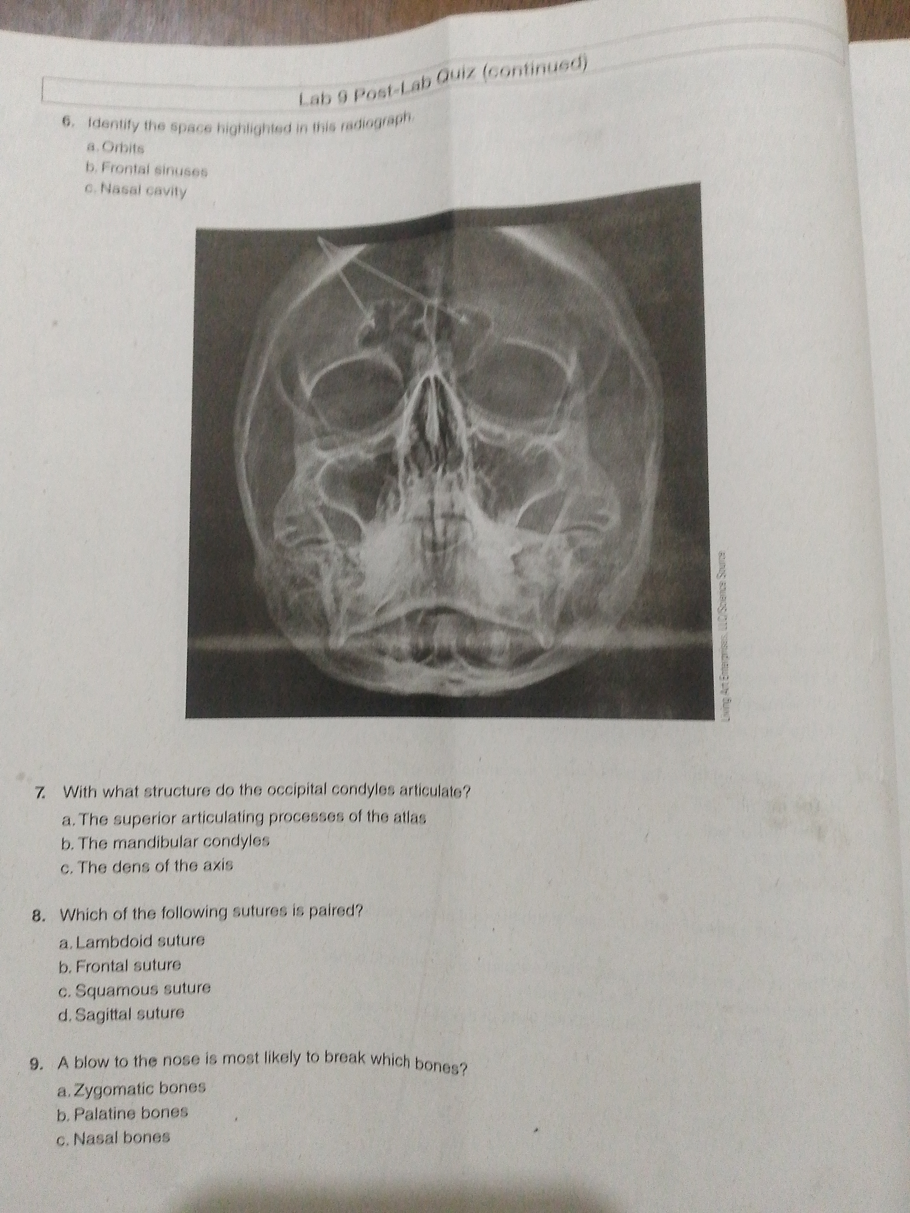 studyx-img