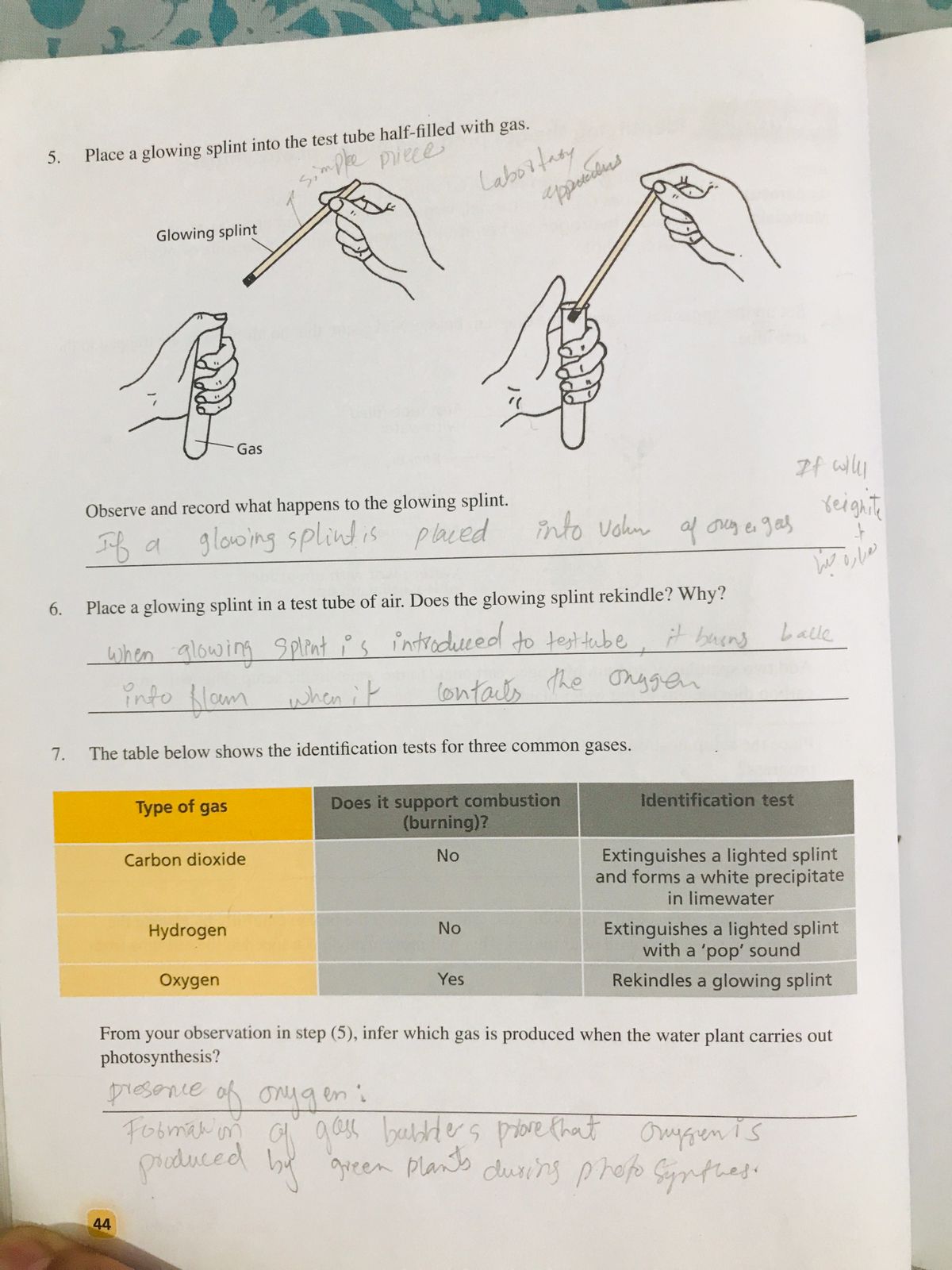 studyx-img