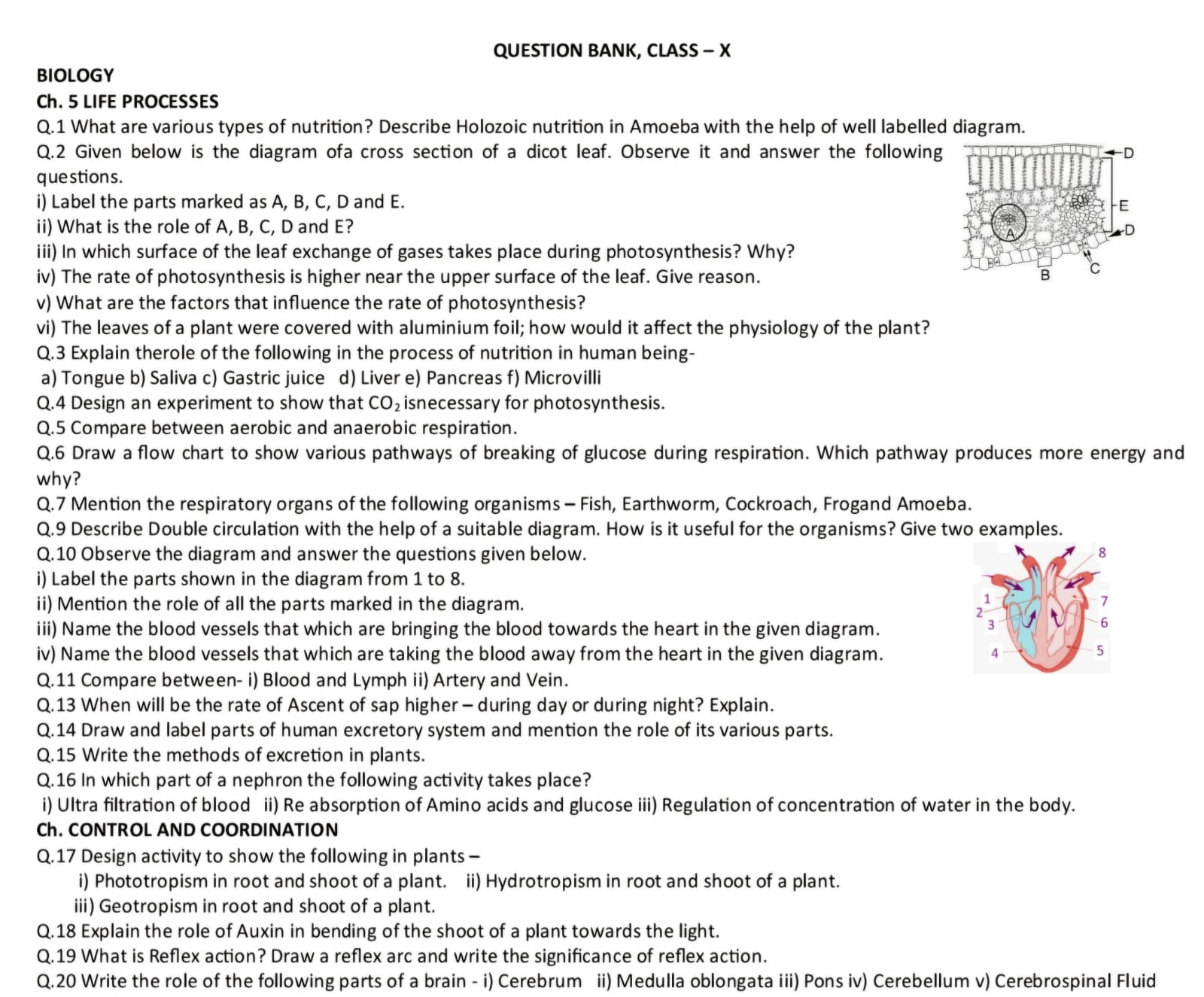 studyx-img