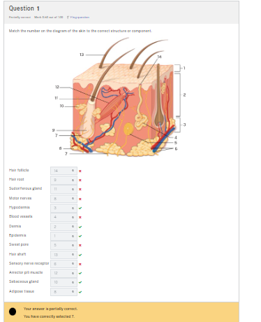 studyx-img