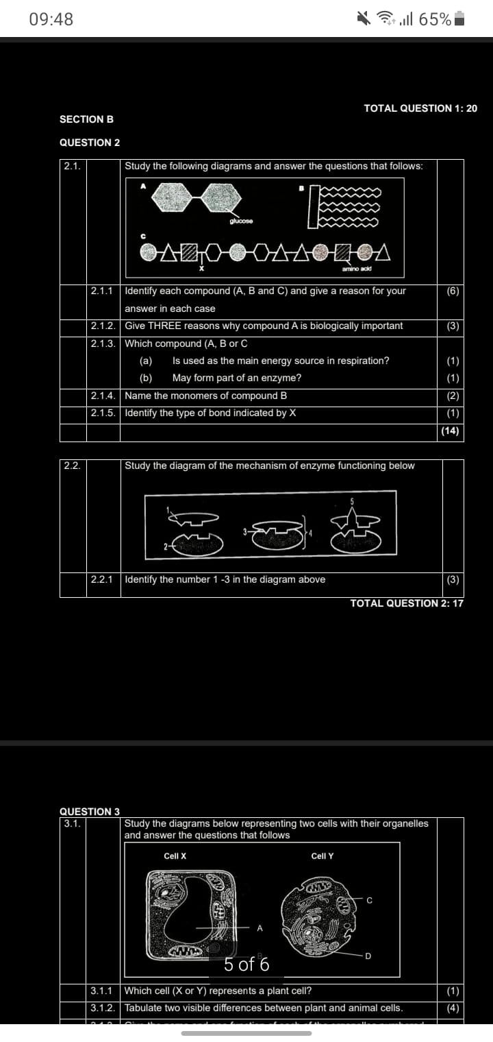 studyx-img