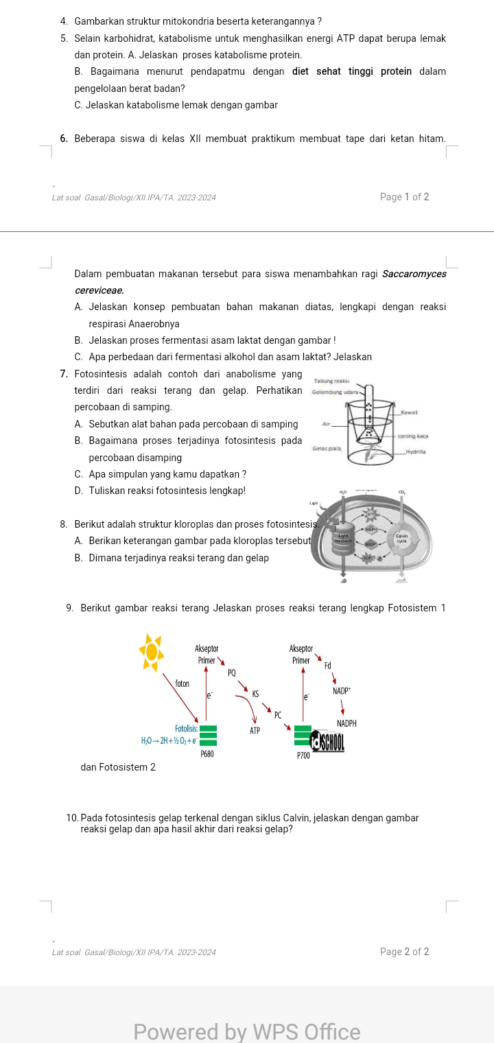 studyx-img