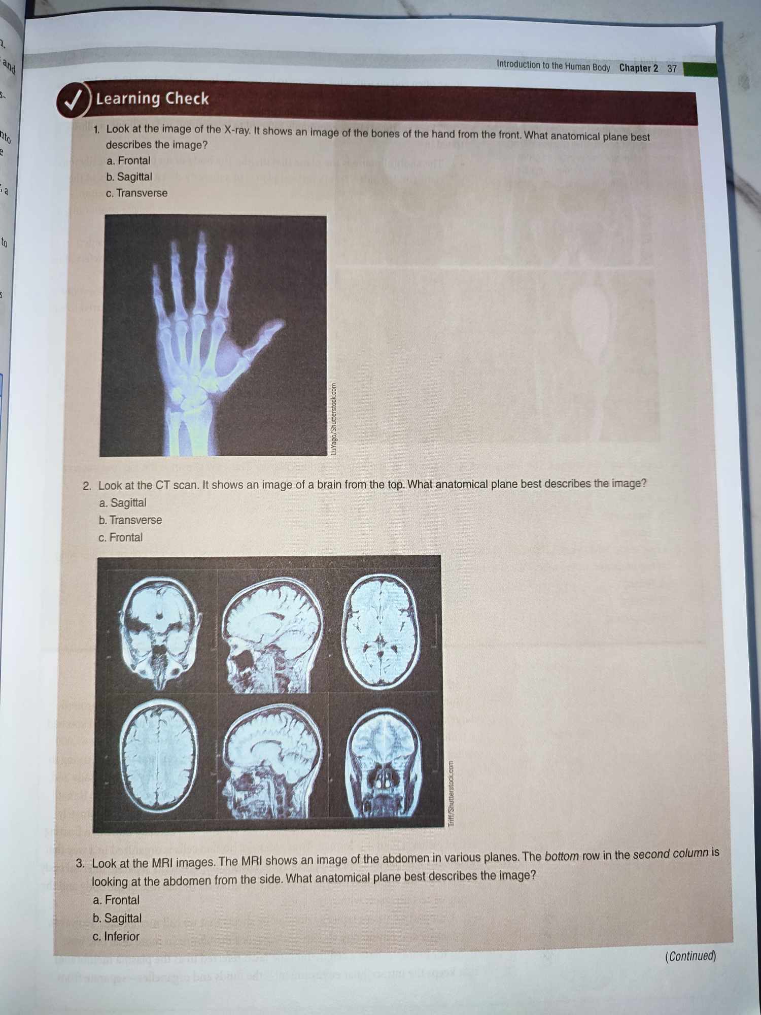 studyx-img