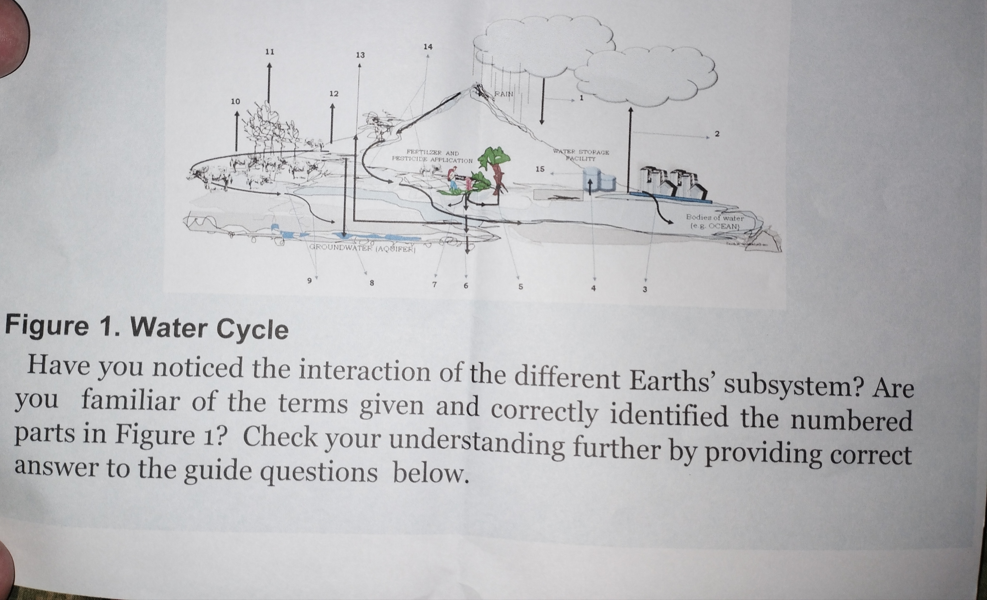 studyx-img