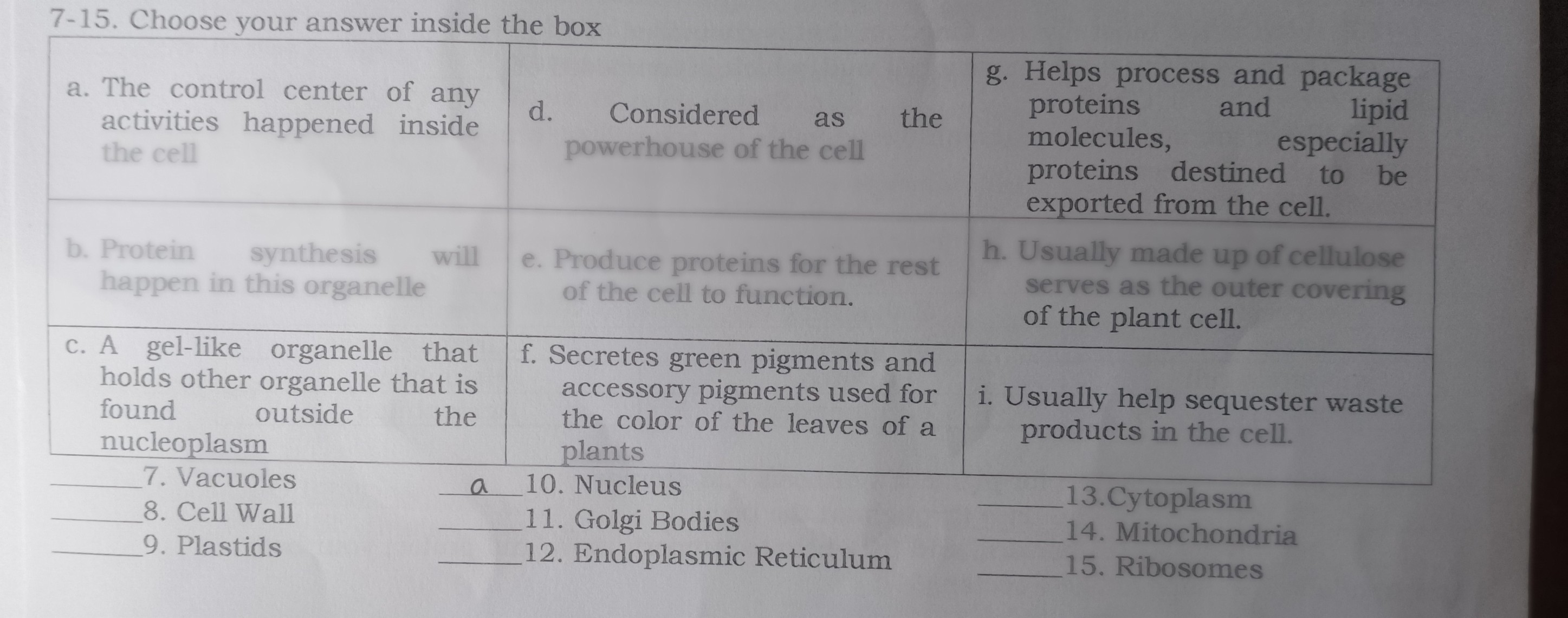 studyx-img