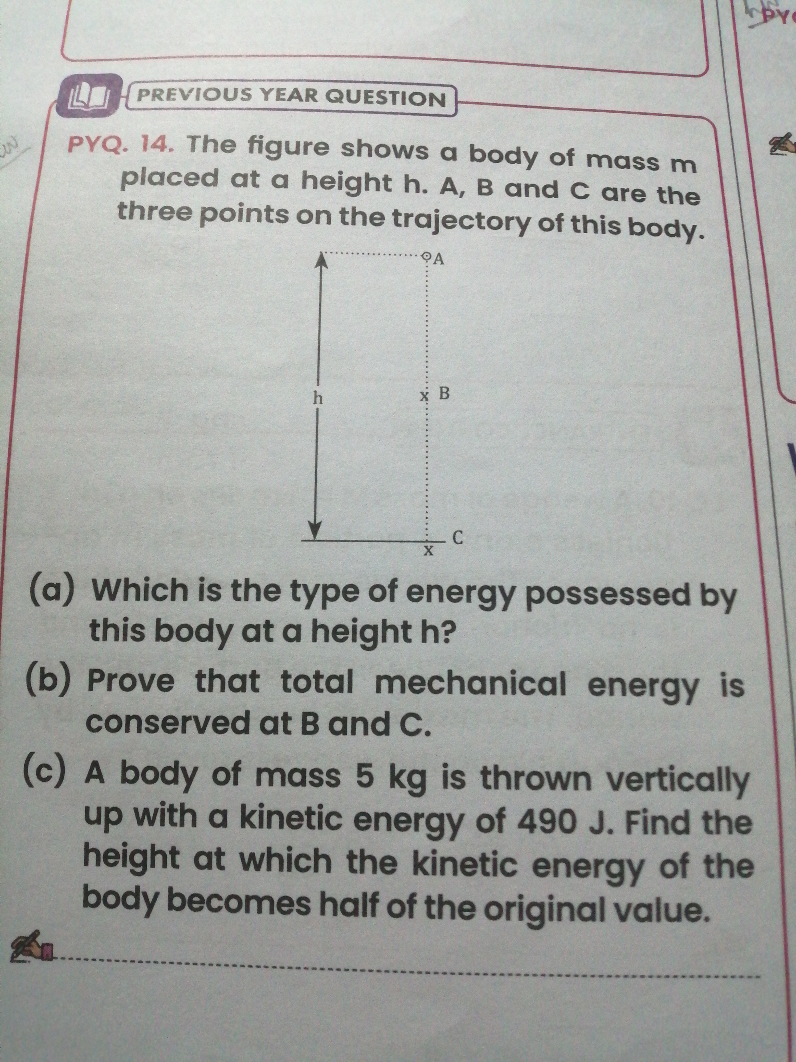 studyx-img