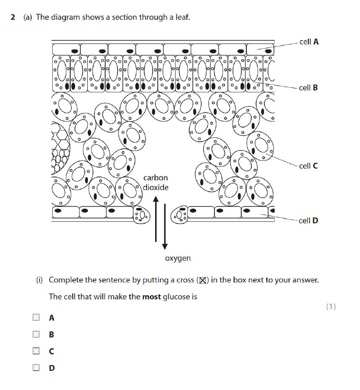 studyx-img