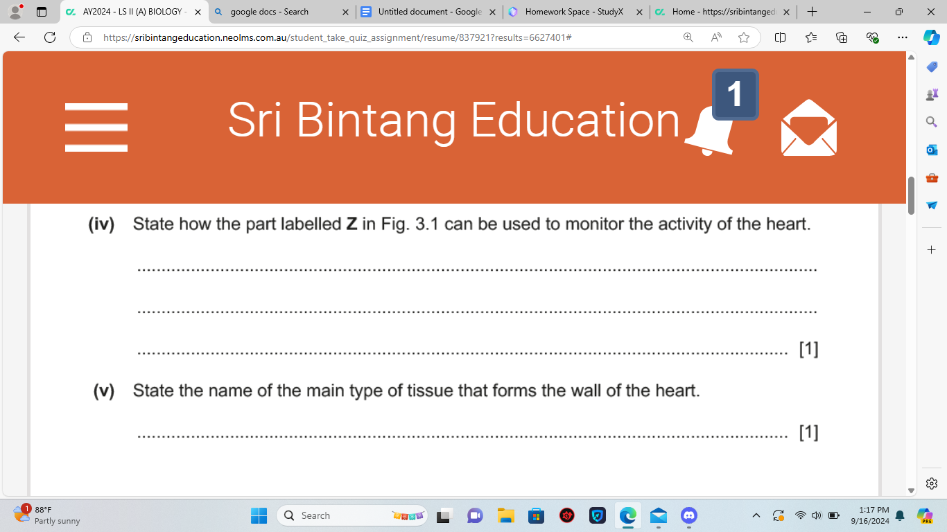 studyx-img