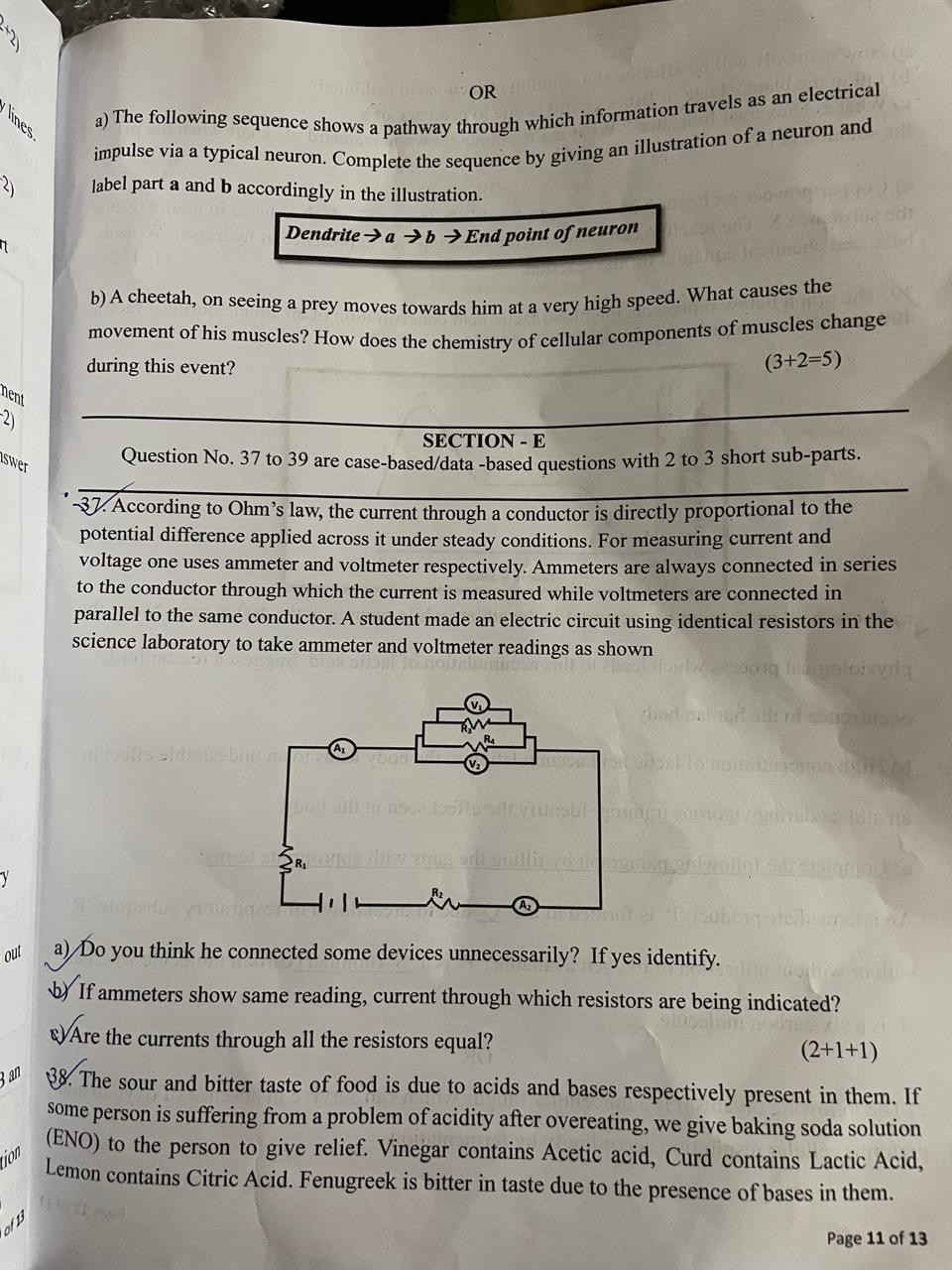 studyx-img