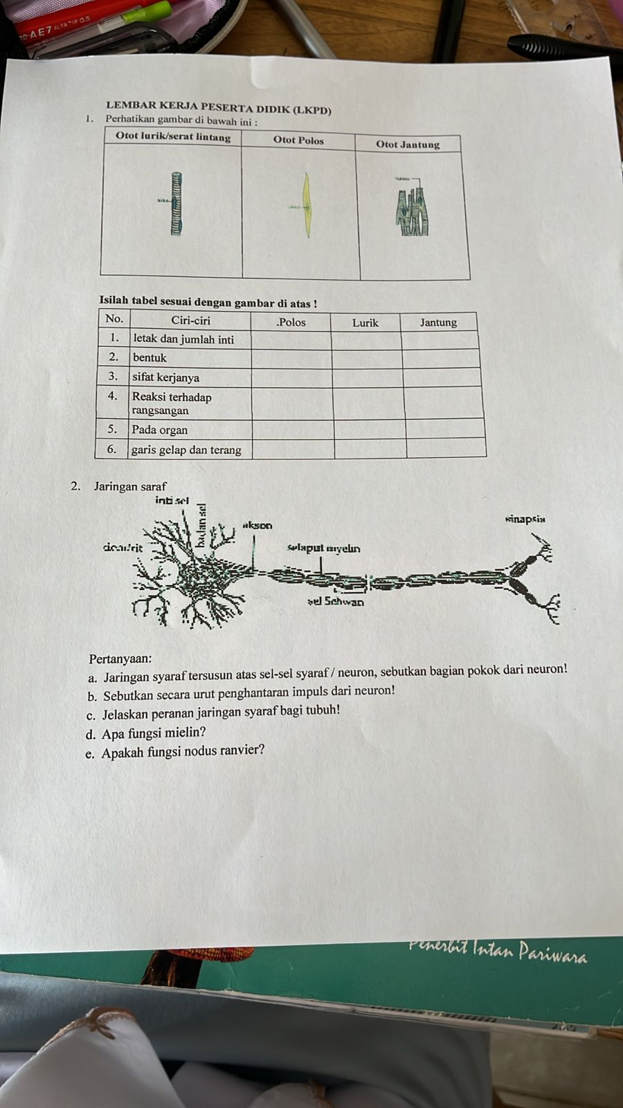 studyx-img