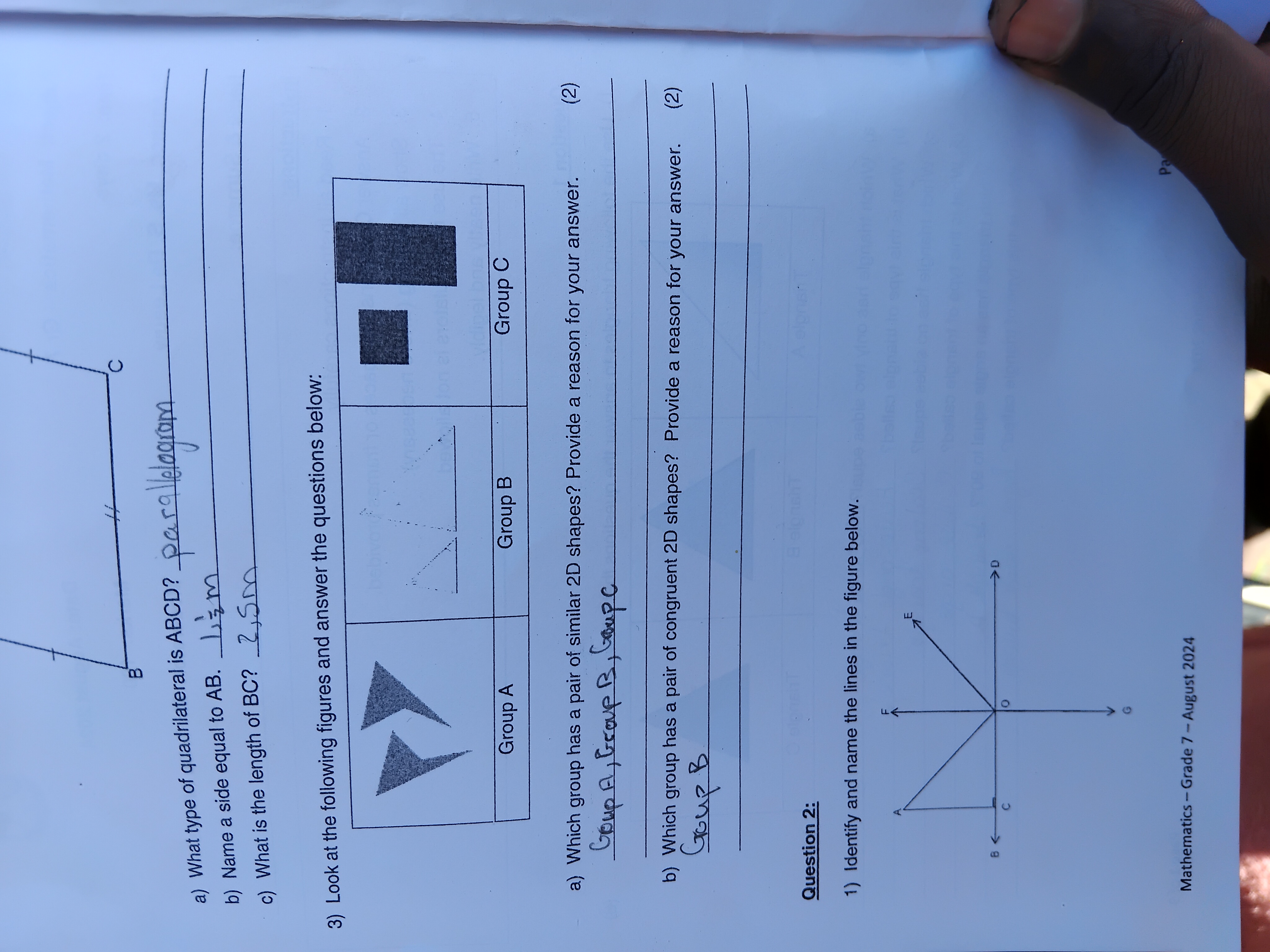 studyx-img