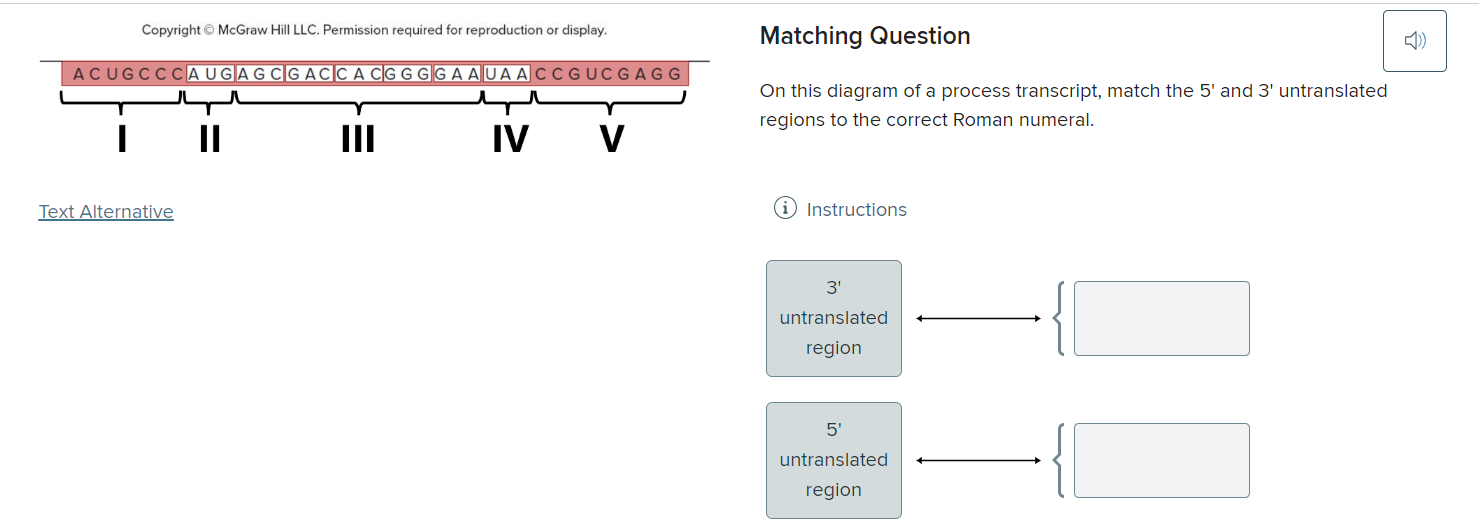 On this diagram of a process transcript,