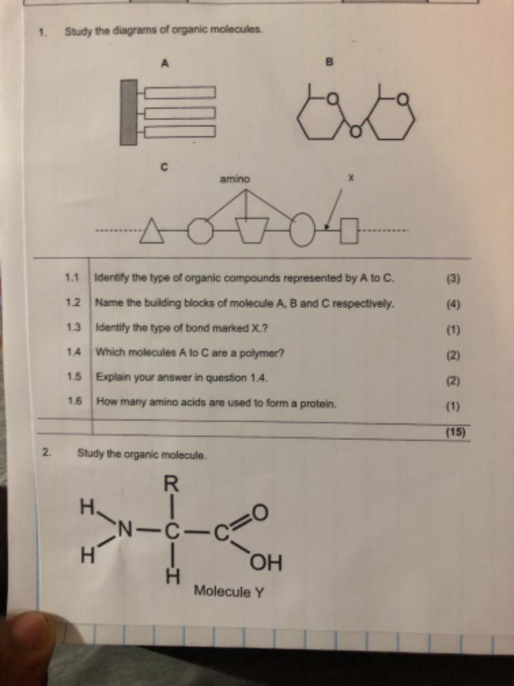 1 Study the diagrams of organic molecules | StudyX