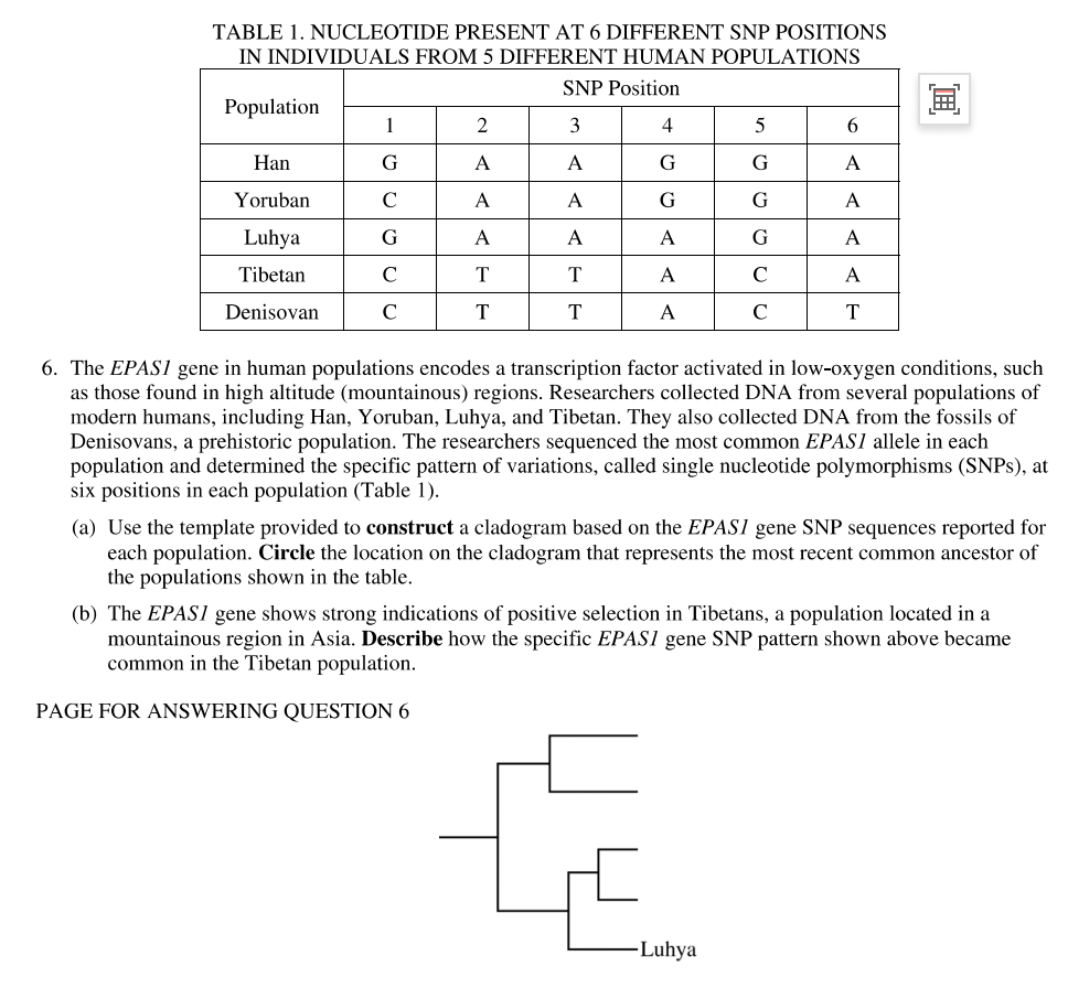 Neceotide Table TABLE 1. NUCLEOTIDE PRESENT AT 6 DIFFERENT | StudyX
