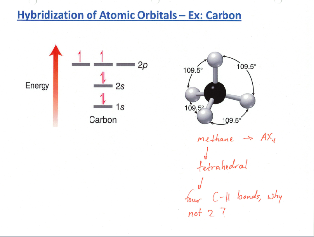 Hybridization of Atomic Orbitals - Ex: | StudyX