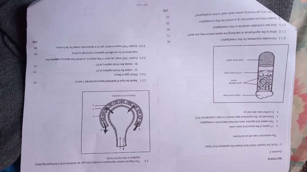 2.1 Study the diagram below and answer the | StudyX