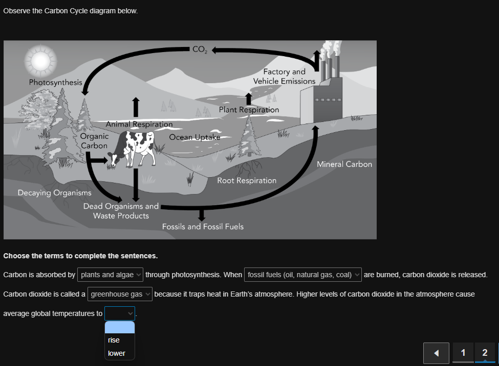 Observe the Carbon Cycle diagram below. | StudyX